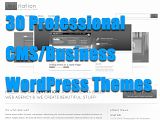 30 Professional CMS/Business WordPress Themes