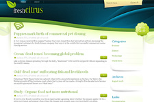 FreshCitrus : FreeThemeLayouts绿色简约WP免费模板