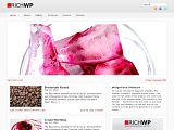 Affiliate : RichWP白色简洁商业模板