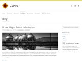 Clarity : ThemeTrust白色组合商业模板