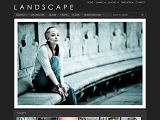 Landscape : StudioPress白色简洁商业主题