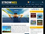 Strownes : NewWpThemes黄色简约WP免费皮肤