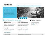 Octofirst : ThemeForest蓝色企业收费模板