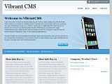 VibrantCMS : WooThemes蓝色WP商业模板